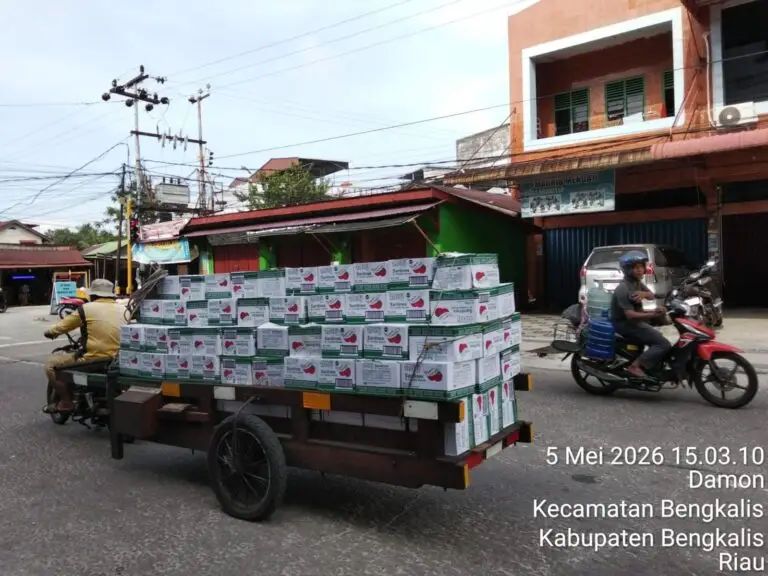 Ratusan Ton Barang Diduga Ilegal Masuk Bengkalis Setiap Pekan, Pengawasan Bea Cukai Dipertanyakan